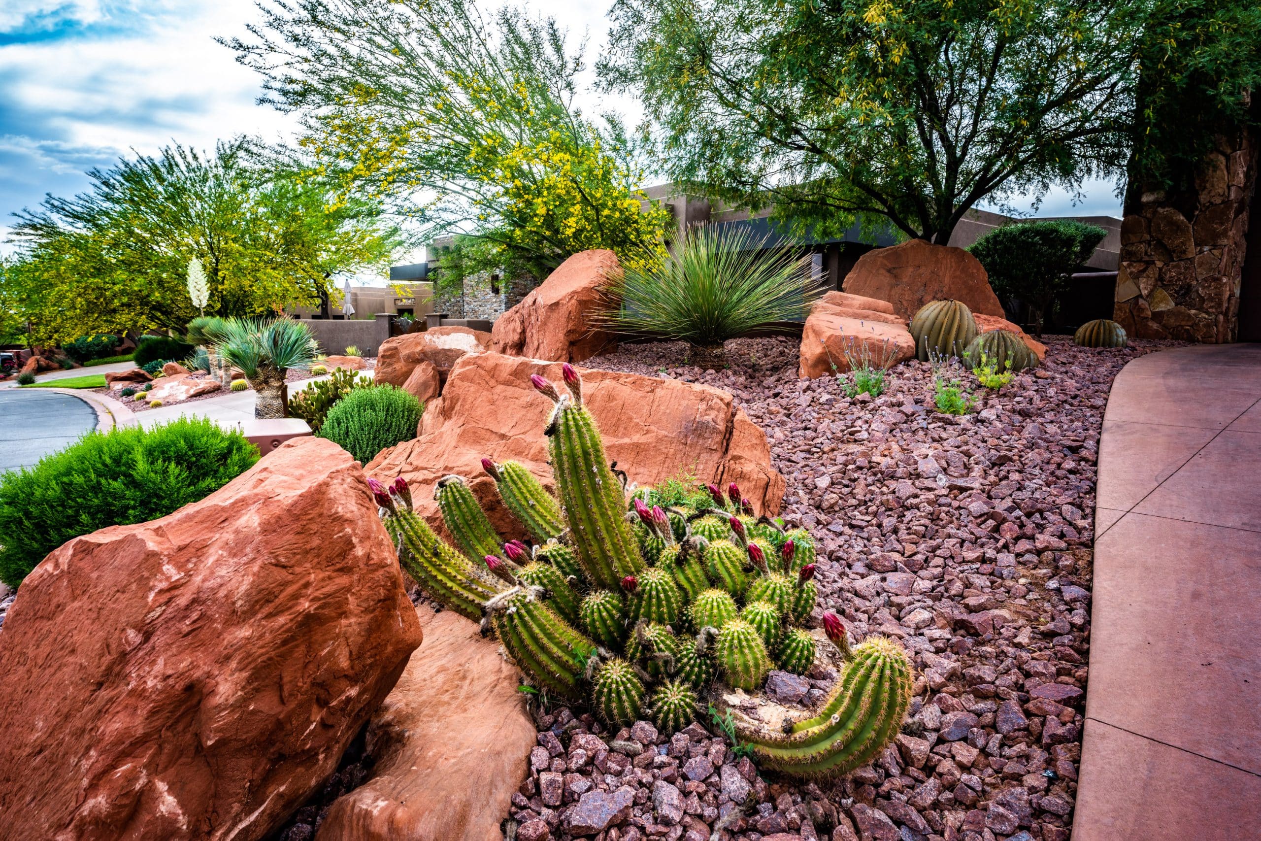 Bear Paw Design - Landscaping Services St George Utah