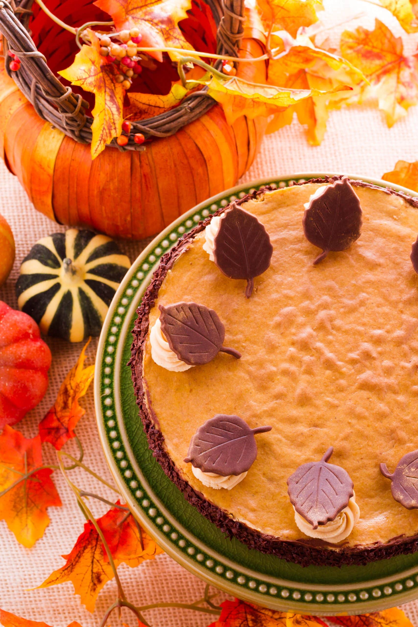 Pumpkin white chocolate cheesecake for Thanksgiving. - Crustless pumpkin pie